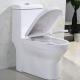 White 1 One Piece Dual Flush Comfort Height Toilet S Trap 300mm 10 Roughing In