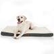BSCI Suede 6 Inch Memory Foam Dog Bed Dog Bed Non Slip Orthopedic