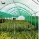PE Sun Shade Net Anti Hail Agricultural Shade Netting Waterproof