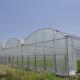 Anti Insect Net Multi Span Hydroponic Tunnel Plastic Greenhouse For Vegetable