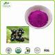 Provides Natural Fruit Extract Black Currant Powder