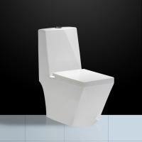 Dual Flush Floor Mounted Wc With P Trap Diamond Shape Washdown