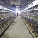 3/4 Tier Battery Chicken Breeding Cages , Zn-Al Steel Poultry Raising Equipment