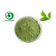 Tea Polyphenols Organic Matcha Tea Powder 1kg For Weight Loss