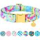 Adjustable Pet Dog Collars Classic Dog Collar With Quick Release Buckle