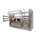 OEM Hot Galvanized Livestock Fencing Carbon Steel Cattle Crush Headlock
