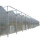 Polycarbonate Sheet Covering Transparent Solar Panels for Greenhouses in High Demand