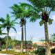 4m Artificial Landscape Trees Coconut Palm Tree Outdoor Decoration