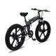 High Speed Motor 28 MPH Electric Bike Soft Tail Frame
