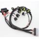 Electric Cable Assembly customzied Auto Wire Harness Assembly Loom