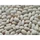 High quality Pure White Kidney Bean Extract Wholesale, Natural White Kidney Bean Extract