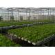 Good Ventilation Greenhouse Rolling Benches , Greenhouse Seedbed System 1.2 - 5.0mm Diameter