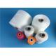 AAA Grade Virgin TFO / Ring 40s/2 Spun 100% Polyester Yarn For Sewing Thread