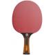 3 Star Table Tennis Rackets Reversed Rubber Concave Color Handle For High Speed Advanced