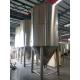 200L Stainless Steel Industrial Fresh Beer Brewing Equipment featuring 60° Bottom Cone