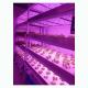 Movable Microgreens Grow Rack Indoor Vertical Farm Environment Friendly