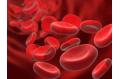 Cleaning Blood with Carbon