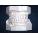 Dental Ortho Study Model Ekodent For Orthodontic Treatment