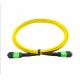 Good Exchange Ability MTP MPO Fiber Cable Low Insertion Loss For WANs