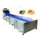 Vegetable And Fruit Cleaning Machine Potatoes Washing Machine