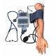 BP Measurement Arm With Exercise Blood Pressure model For Medical Colleges And Schools