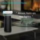 Alexa Voice Control Smart AI Speaker Double Sound Track Support Android And IOS
