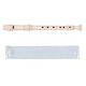 8 HOLE German/Baroque Soprano Recorder with PP plastic shell lowest price-AG8A-3GP/3BP