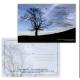 PLASTIC LENTICULAR lenticular postcard cost pp pet 3d printing lenticular postcard 3d postcards for sale