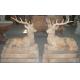 Deer marble sculpture for garden