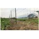 Cattle Fence for Sports & Farming: Electro Galvanized Veldspan Gate Field Fence