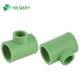 PPR Pipe Fitting Reducing Tee for Hot Water Customization and Request Samples