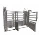 Cattle Crush Galvanized Livestock Fencing Galvanized Steel Fence