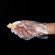Multi Function  Disposable PE Plastic Gloves Household Cleaning Eating Food Grade Oil Proof Waterproof