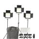 Portable LED Video Light Kit High CRI With 3 Light Stands , LED Light Panel Kit