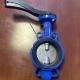 Customized Service Manual Butterfly Valve for OEM Ductile Iron Flange Lug Wafer Type