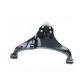 E-Coating OEM Standard Auto Spare Part Front Lower Arm for Chevrolet Colorado 04-12