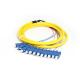 SC Single Mode Fiber Optic Pigtail 12-Core APC/UPC Bundled Pigtail G652D