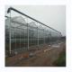 Multi Span Glass Greenhouse Agricultural Equipment for Vegetable Fruits and Flowers