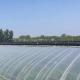 Temporary Heating Arched Roof Film Greenhouse for Tomato and Cucumber Farming