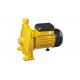 Household Irrigation Electric Pressure Water Pump , Self Priming Water Pump 0.75HP