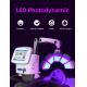 LED Face Light Therapy Machine LED Light Therapy Machine Professional
