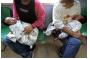 Safety worries stall selling of human breast milk