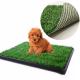 Pet Artificial Turf Grass Padel Court Artificial Grass For Pet Behaviour Training