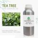 Organic Tea Tree Essential Oil Bulk OEM 1000ml Moisturizing For Skin Care