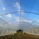 Roll Up Sides Ventilation Sustainable Hothouse High Tunnel Greenhouse for Farm