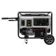 4 Stroke Air Cooled 6.5HP Small Gasoline Generator Single Cylinder