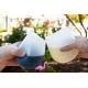 easily carried outdoor silicone wine cups with fashion design