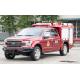 Ford 150 4x4 Pick-up Small Fire Fighting Truck and Rapid Intervention Rescue Vehicle Price China Factory