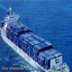 24 Hours 7 Days China To USA LCL DDP Sea Shipping