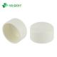 1/2 Inch to 4 Inch PVC Pipe Fitting Sch40 Plastic End Cap with Round Head Code Design